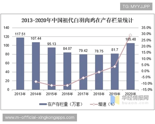 赛车新兴赛事发展趋势与潜力分析 赛车新兴赛事发展趋势与潜力分析